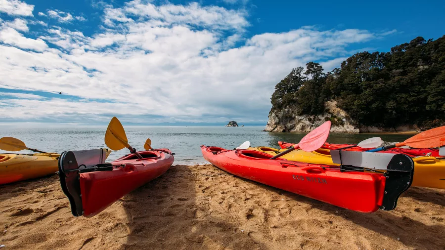 Colourful sea kayaks lined up on the sand at Kaiteriteri Beach