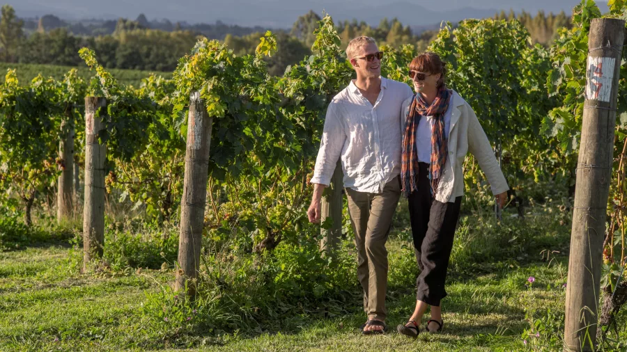 Couple walking through the vines at Heaphy Vineyard & Winery in Nelson Tasman