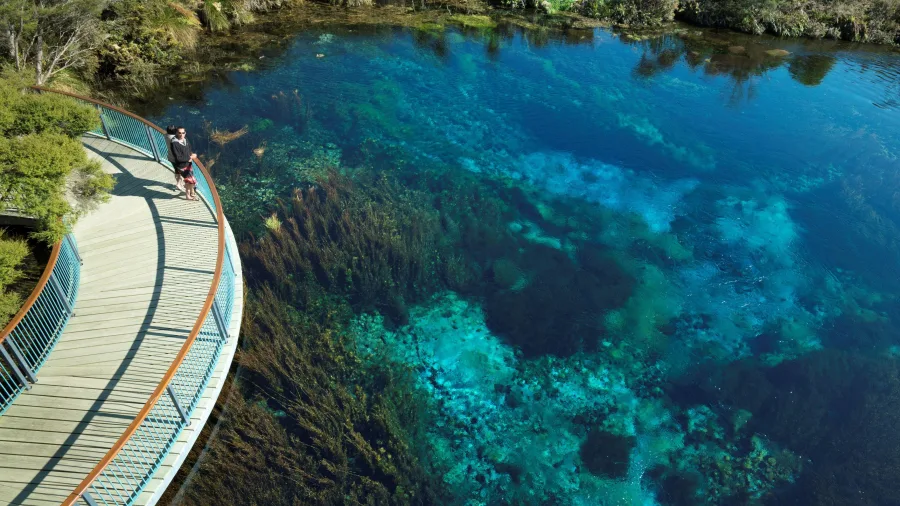 Boardwalk view over crystal-clear Te Waikoropupu Springs in Takaka