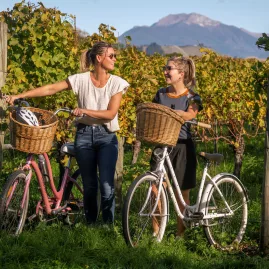 Friends cycling through vineyards on the Great Taste Trail, Nelson Tasman