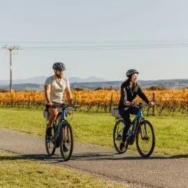 E-bike ride past vineyards on the Great Taste Trail in Nelson Tasman