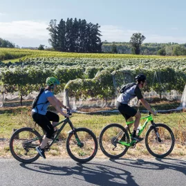Couple e-biking past vineyards on the Great Taste Trail, Nelson Tasman