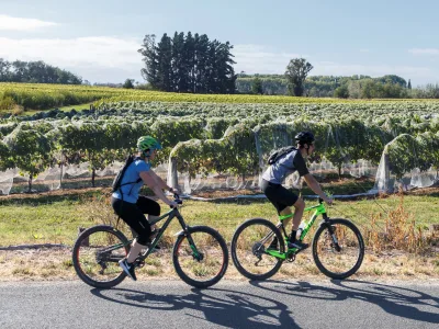 Couple e-biking past vineyards on the Great Taste Trail, Nelson Tasman