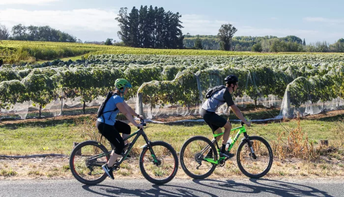 Couple e-biking past vineyards on the Great Taste Trail, Nelson Tasman