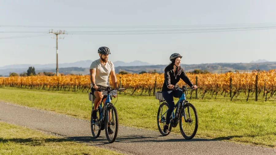 E-bike ride past vineyards on the Great Taste Trail in Nelson Tasman