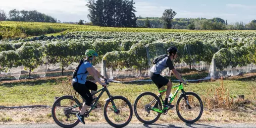 Couple e-biking past vineyards on the Great Taste Trail, Nelson Tasman