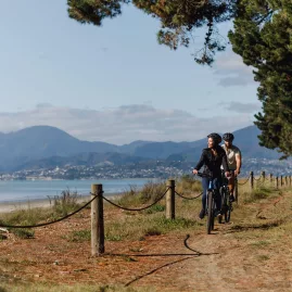 Cyclists on a coastal path at Rabbit Island along the Great Taste Trail to Mapua