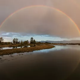 Full rainbow over wetlands on the Great Taste Trail, Ruby Coast, Nelson Tasman