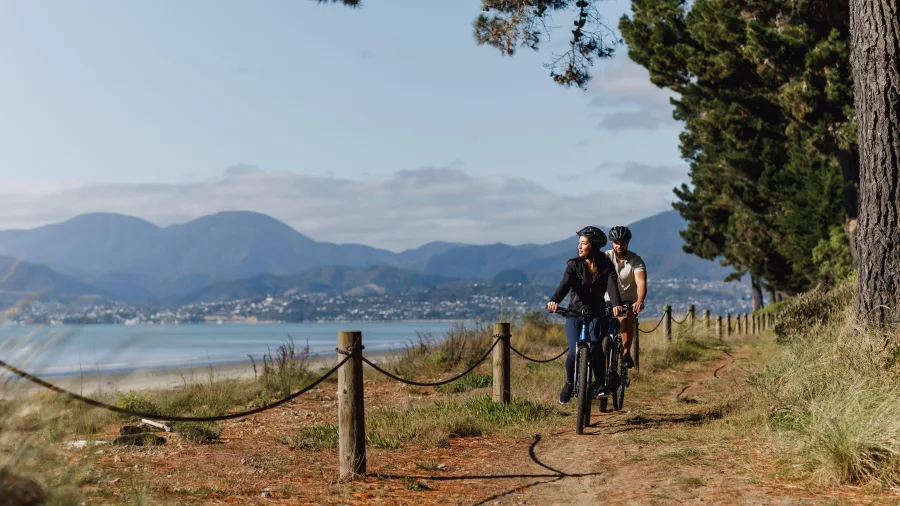 Cyclists on a coastal path at Rabbit Island along the Great Taste Trail to Mapua
