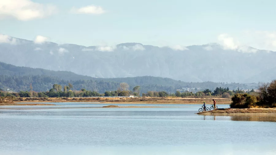 Scenic coastal cycling near Mapua on the Great Taste Trail
