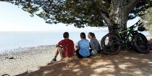 Cyclists taking a break in the shade beside the Great Taste Trail on the Ruby Coast
