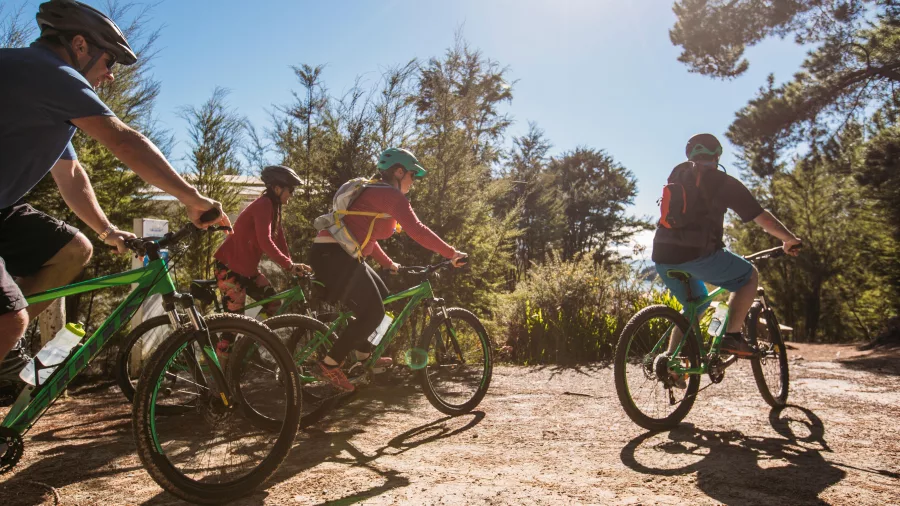 Group mountain biking Great Taste Trail in Kaiteriteri Recreation Reserve, Nelson Tasman