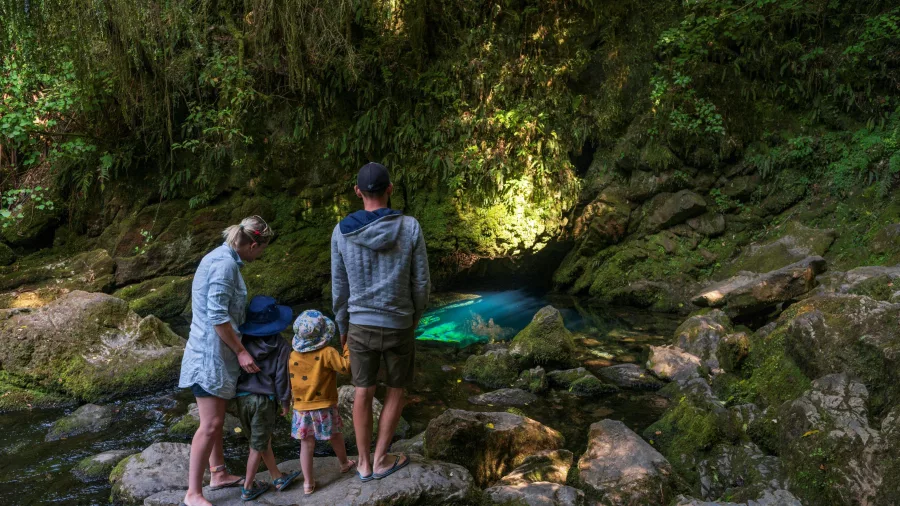 Family exploring Riwaka Resurgence near Motueka