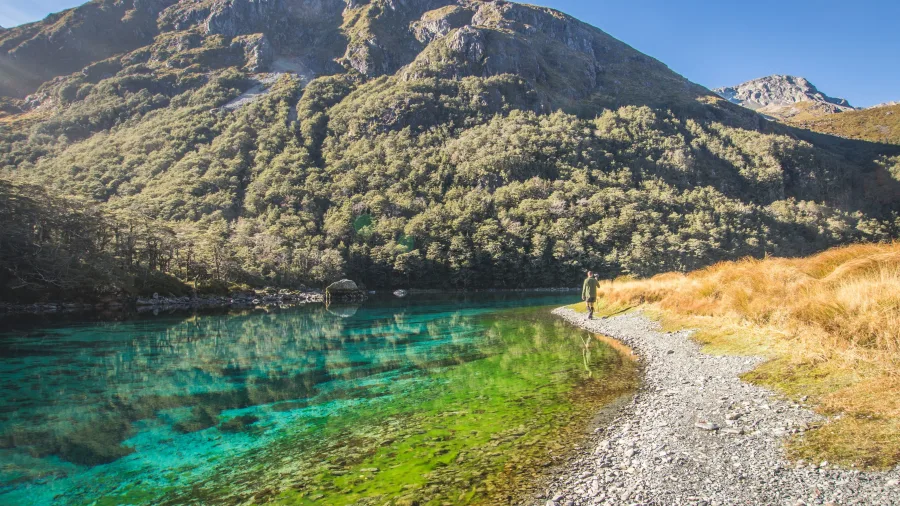 Tramper walking beside Blue Lake in Nelson Lakes National Park