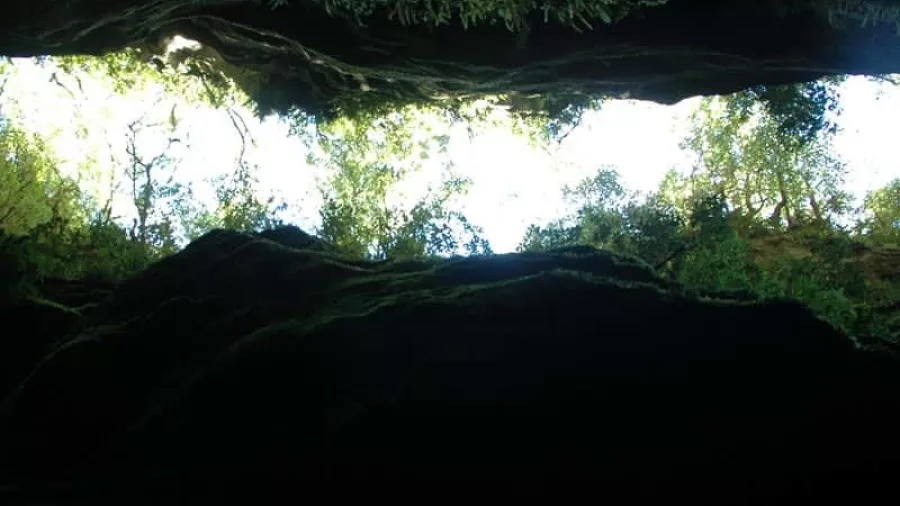 Sky view from inside the canyon with light filtering through at Blue Creek