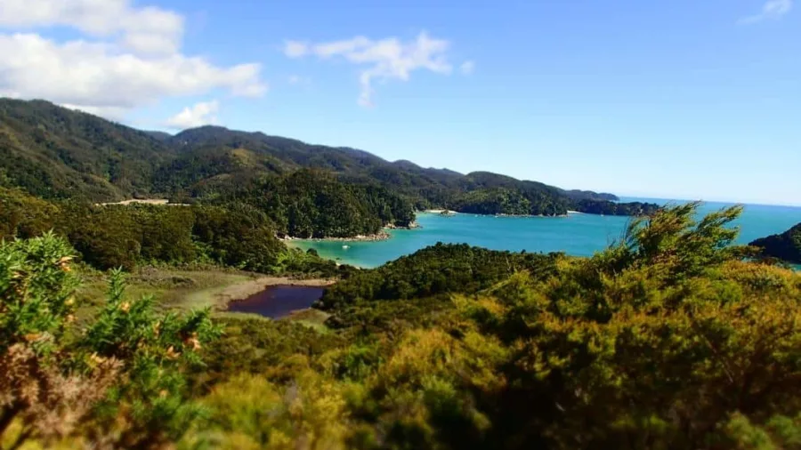Elevated view of Abel Tasman coastline with bush and turquoise water