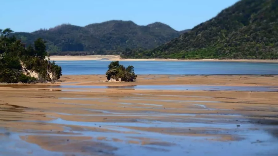 View across the Awaroa tidal flats at low tide in Abel Tasman National Park
