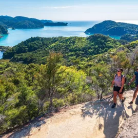 Hikers enjoying a scenic viewpoint overlooking the coastline and bays of Abel Tasman National Park