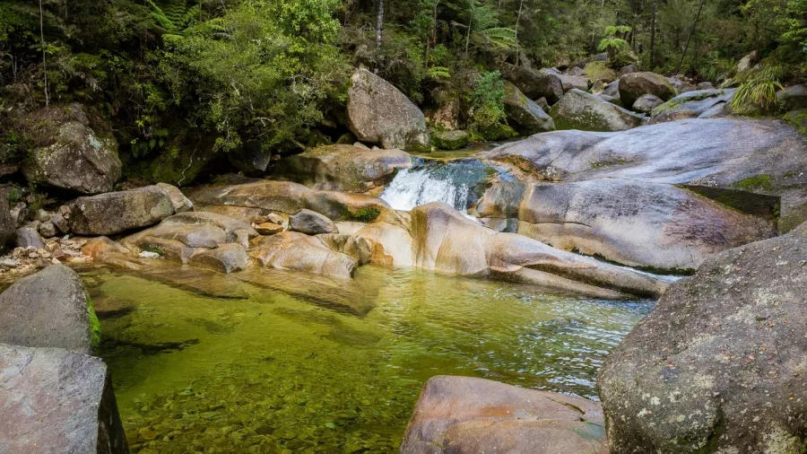 Natural rock pool with clear green water and smooth boulders at Cleopatra's Pool in Abel Tasman National Park