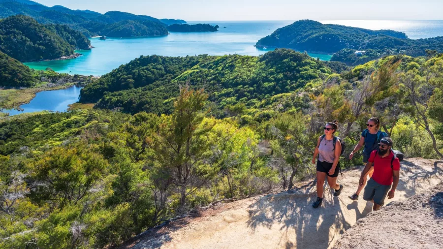 Hikers enjoying a scenic viewpoint overlooking the coastline and bays of Abel Tasman National Park