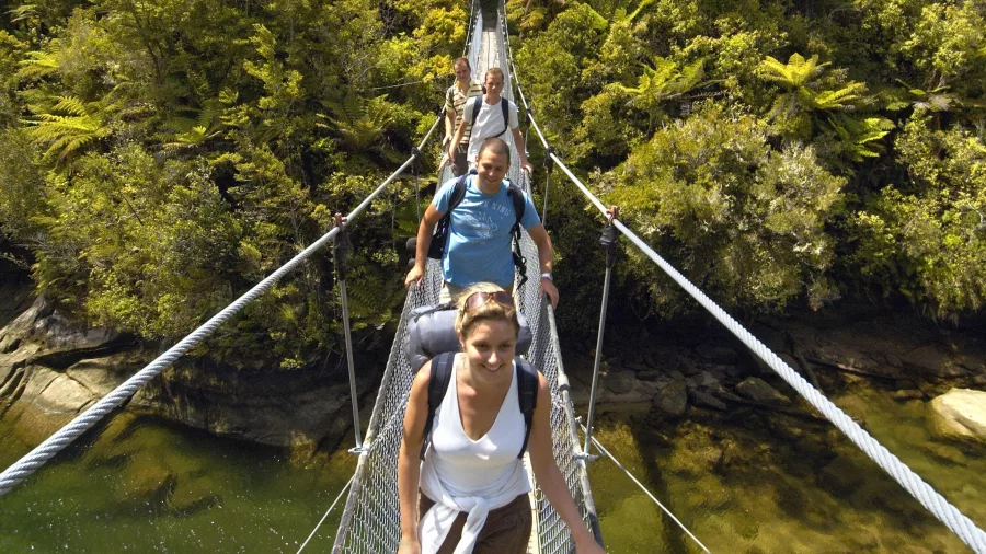 Group of hikers crossing the Falls River swing bridge surrounded by thick native bush in Abel Tasman National Park