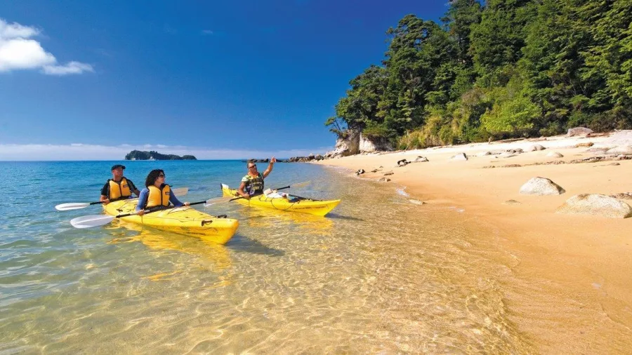 Group kayaking along the golden sands of Observation Beach in Abel Tasman National Park