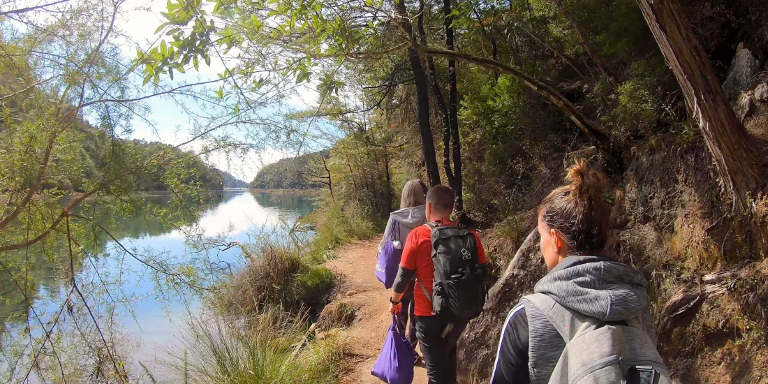 Hikers walking along the edge of Bark Bay Lagoon surrounded by native bush in Abel Tasman National Park