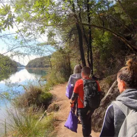 Hikers walking along the edge of Bark Bay Lagoon surrounded by native bush in Abel Tasman National Park