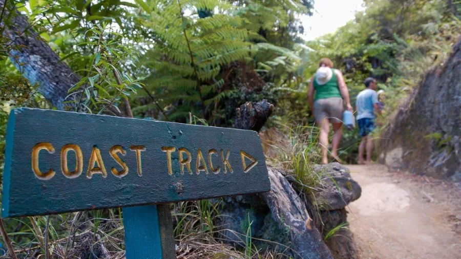 Coast Track sign with hikers walking uphill through forest on the Abel Tasman Great Walk