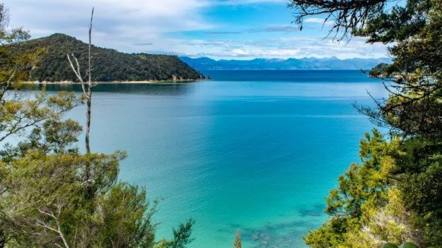 Stunning coastal view from the Abel Tasman Track through native forest