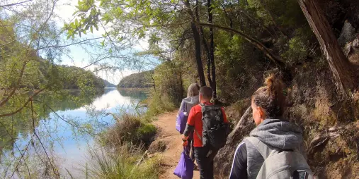 Hikers walking along the edge of Bark Bay Lagoon surrounded by native bush in Abel Tasman National Park