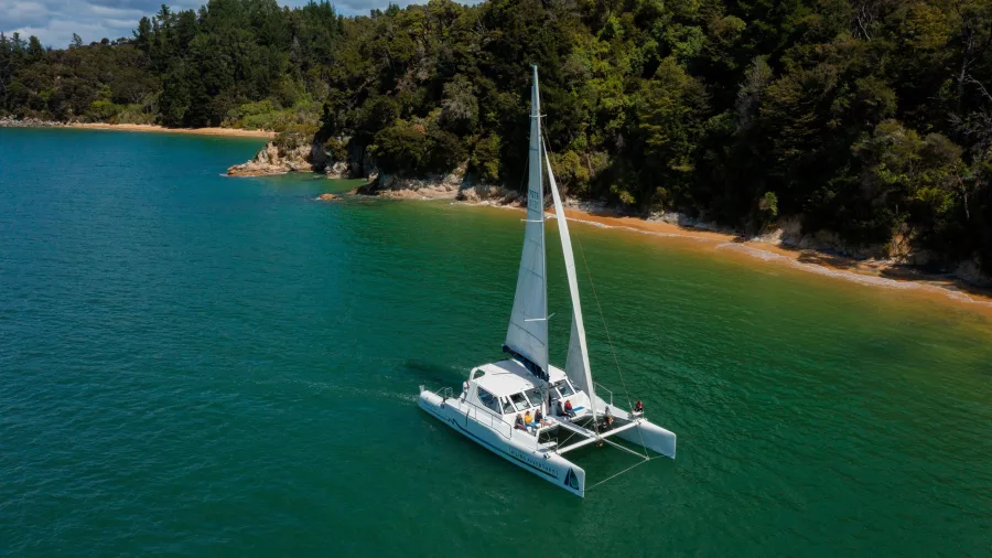 Catamaran cruising past native forest coastline in Abel Tasman National Park
