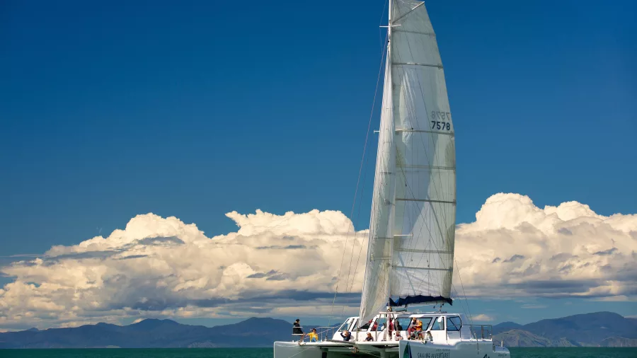 Catamaran sailing across the open sea with mountain views in Abel Tasman