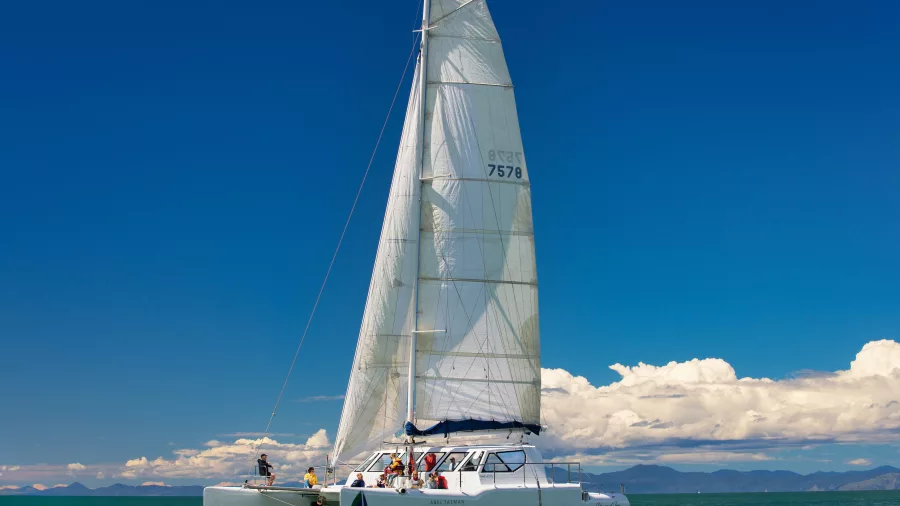 Abel Tasman Sailing Adventures catamaran cruising under full sail on a sunny day