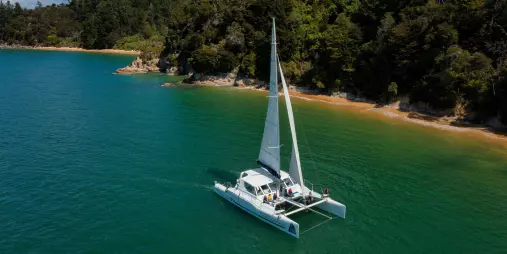 Catamaran cruising past native forest coastline in Abel Tasman National Park