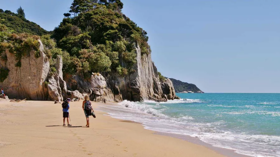 Two people walking along Awaroa Beach with cliffs and native bush in Abel Tasman National Park