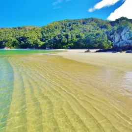Crystal-clear shallows and golden sand with forested hills in Abel Tasman National Park