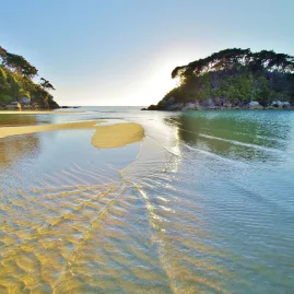 Shallow tidal stream and golden sandbar at sunrise with a tree-covered island in Abel Tasman National Park