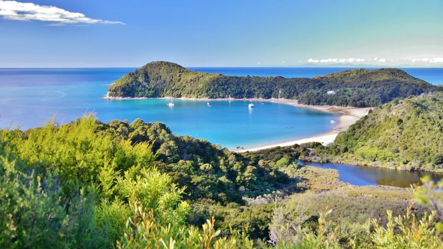 Scenic view of Totaranui Bay with anchored boats and lush forest in Abel Tasman National Park