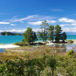 Scenic view over Apple Tree Bay with turquoise sea, tidal inlet and coastal forest in Abel Tasman