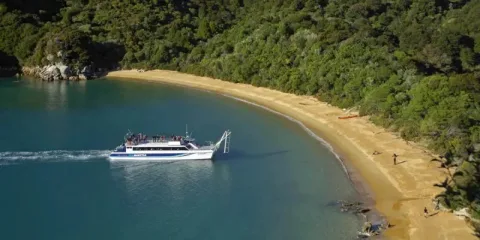 Abel Tasman Sea Shuttle boat pulling up to a golden sand beach surrounded by native bush