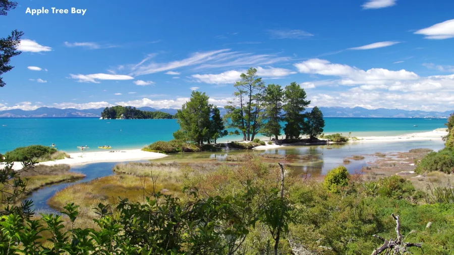 Scenic view over Apple Tree Bay with turquoise sea, tidal inlet and coastal forest in Abel Tasman
