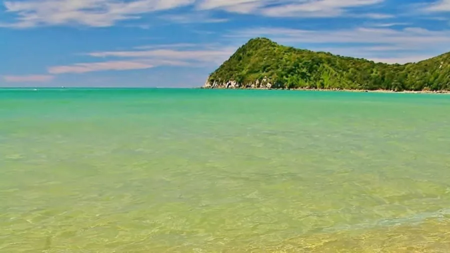 Clear turquoise waters and lush green headland in Abel Tasman National Park, New Zealand