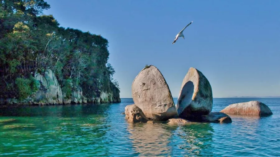 Split Apple Rock in Abel Tasman National Park with a bird flying overhead
