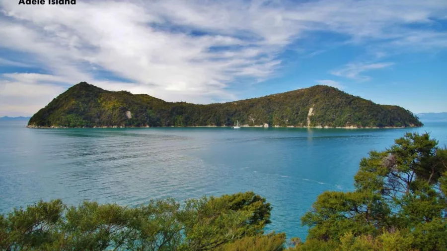 Scenic view of Adele Island surrounded by calm blue waters in Abel Tasman National Park