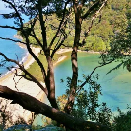 Elevated coastal view of forested headlands and turquoise water in Abel Tasman National Park