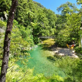 Kayaks resting by a forest stream with a footbridge in Abel Tasman National Park