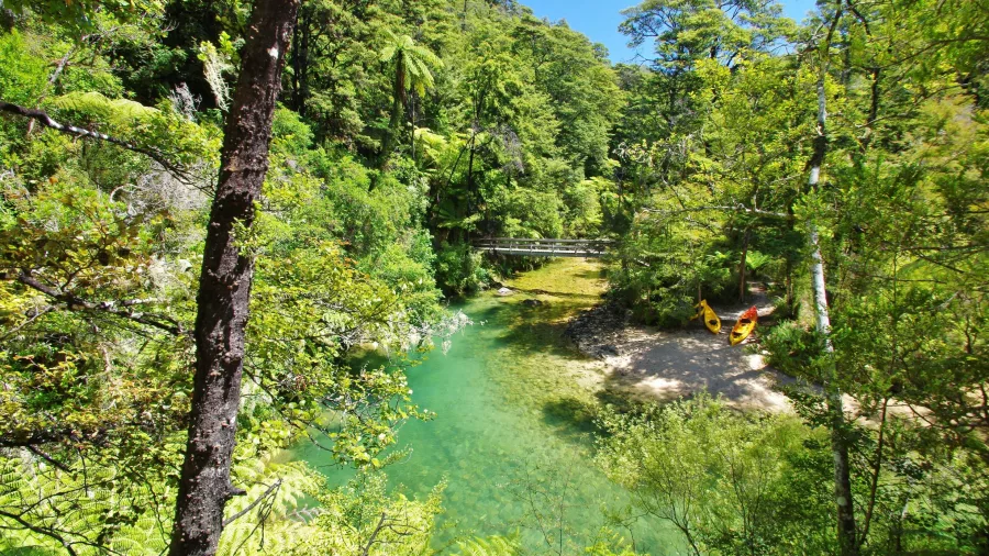 Kayaks resting by a forest stream with a footbridge in Abel Tasman National Park