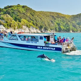 Dolphin leaping out of the water beside an Abel Tasman Sea Shuttle with passengers watching