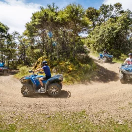 Riders on quad bikes navigating a forested dirt trail along the Bayview Circuit at Cable Bay Adventure Park.
